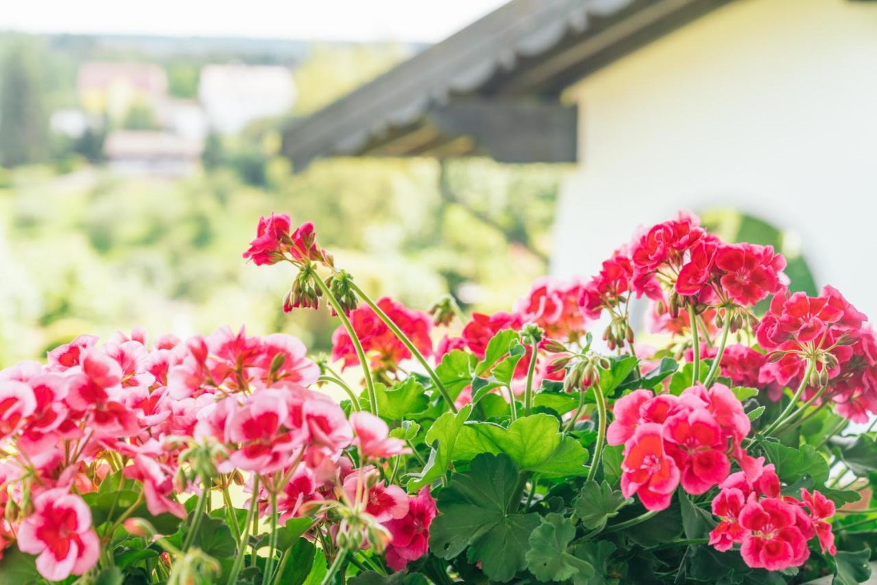 Landgasthaus Sonne フロイデンシュタット エクステリア 写真