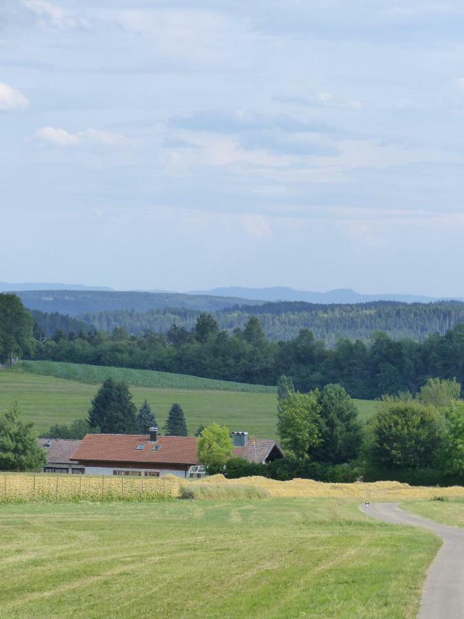 Landgasthaus Sonne フロイデンシュタット エクステリア 写真