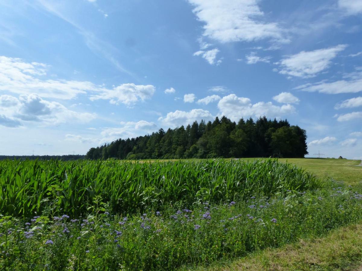 Landgasthaus Sonne フロイデンシュタット エクステリア 写真